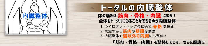 内臓整体,カイロプラクティック,腰痛,肩こり,首の痛み,背中痛,梅田カイロプラクティック,梅田整体