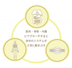 内臓整体,体質改善,腰痛,肩こり,首の痛み,背中の痛み,胃もたれ,機能性ディスペプシア,過敏性腸症候群