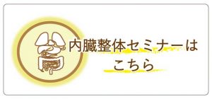 内臓整体セミナー