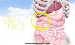 右上腹部の張りと右腰の張りの原因は