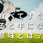 「食べてすぐに寝ると牛になる」の意味とは？