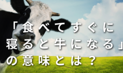 「食べてすぐに寝ると牛になる」の意味とは？