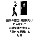 頻尿の原因は膀胱だけじゃない？内臓整体が考える「意外な原因」と対策