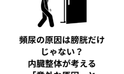 頻尿の原因は膀胱だけじゃない？内臓整体が考える「意外な原因」と対策