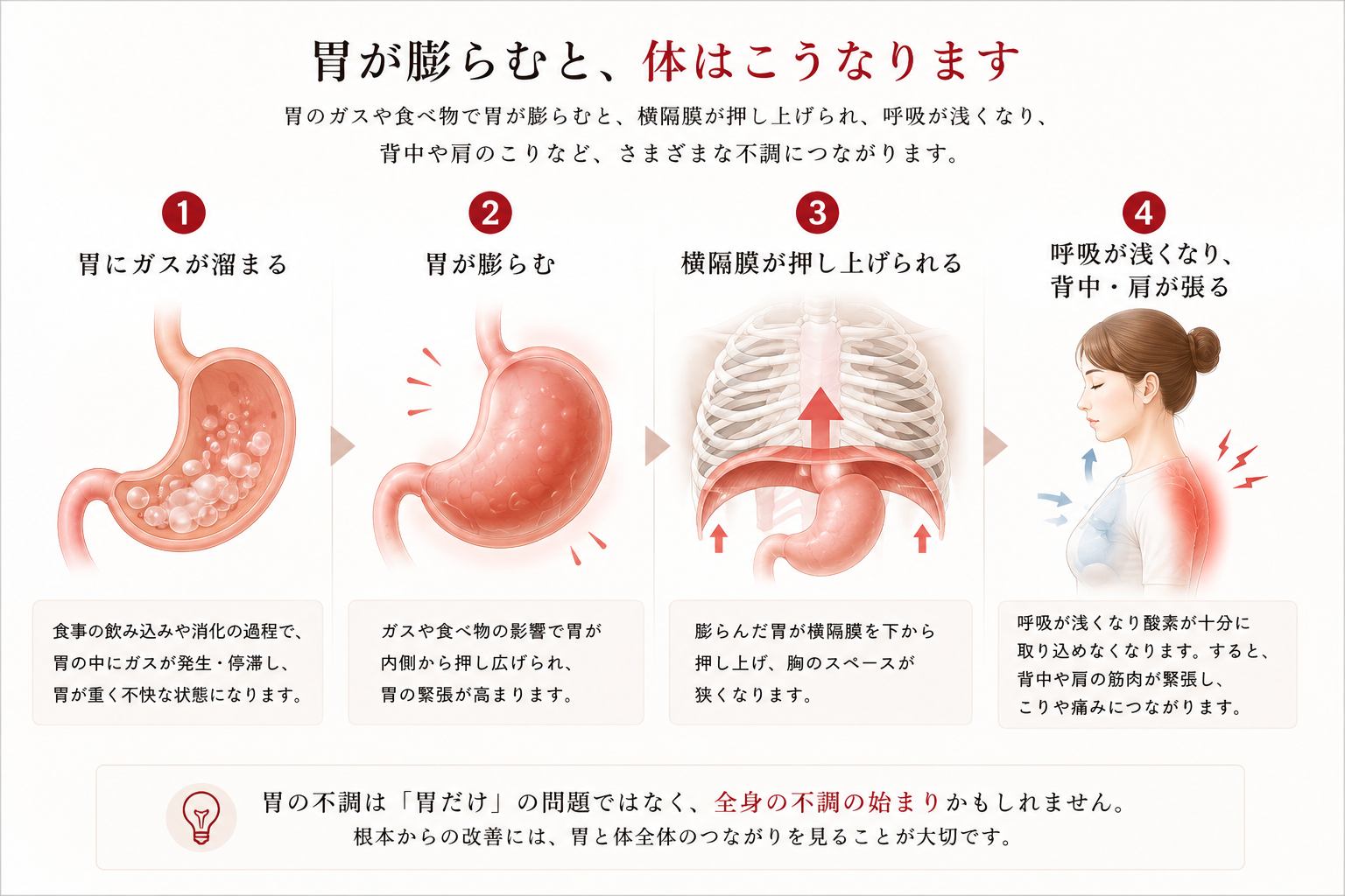胃が膨らむことと横隔膜、呼吸、背中や肩の張りの関係を示した図